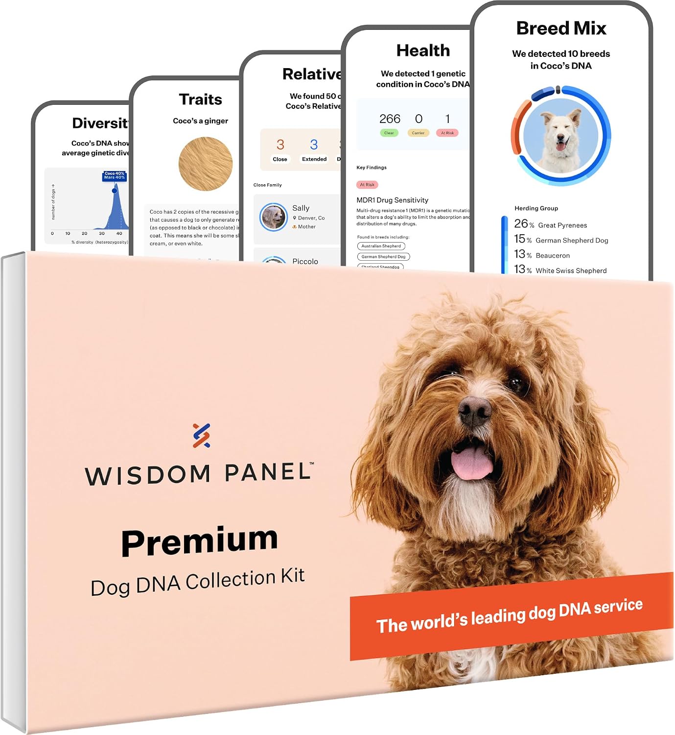Dog DNA Test Kit