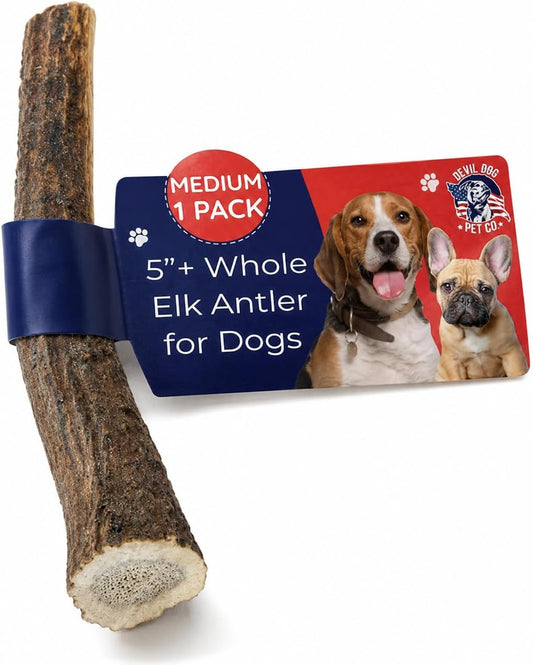 Natural Elk Antler Dog Chew