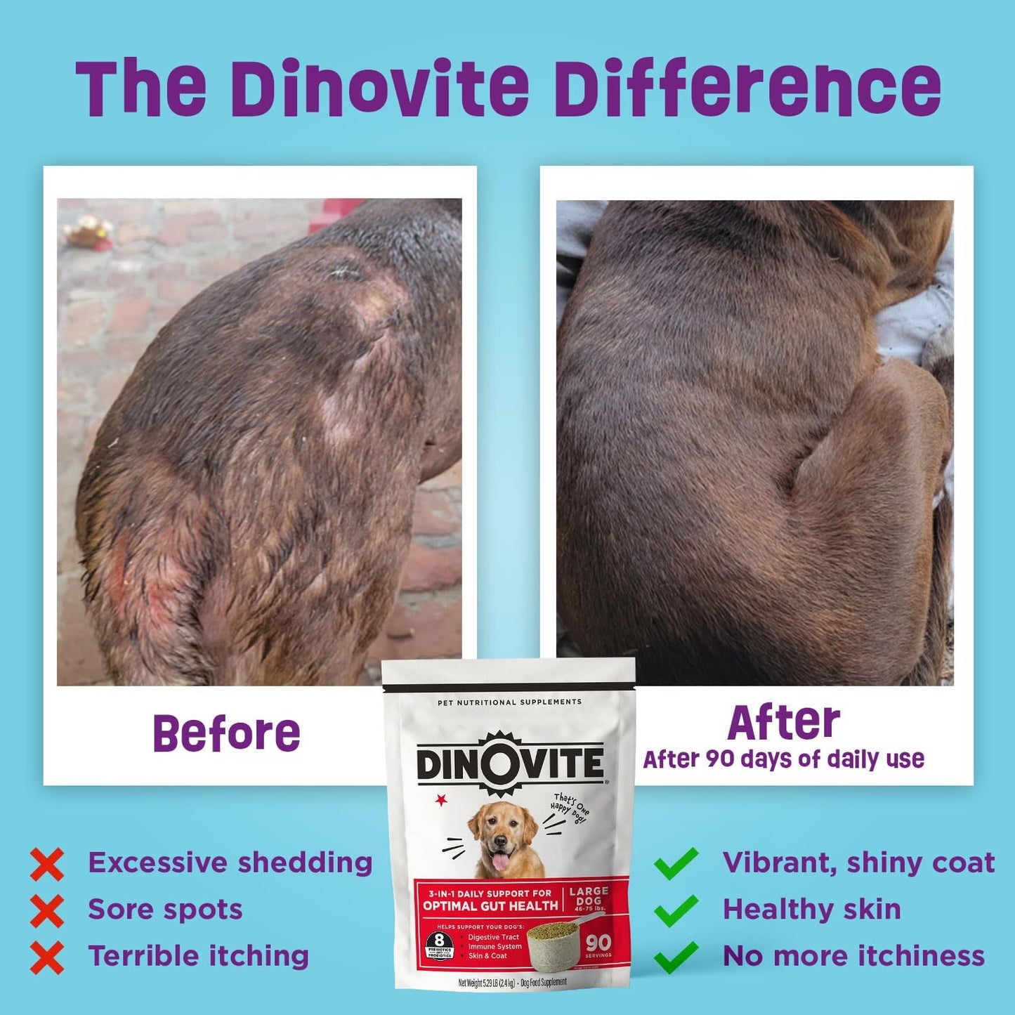 Medium Dog Probiotic Powder