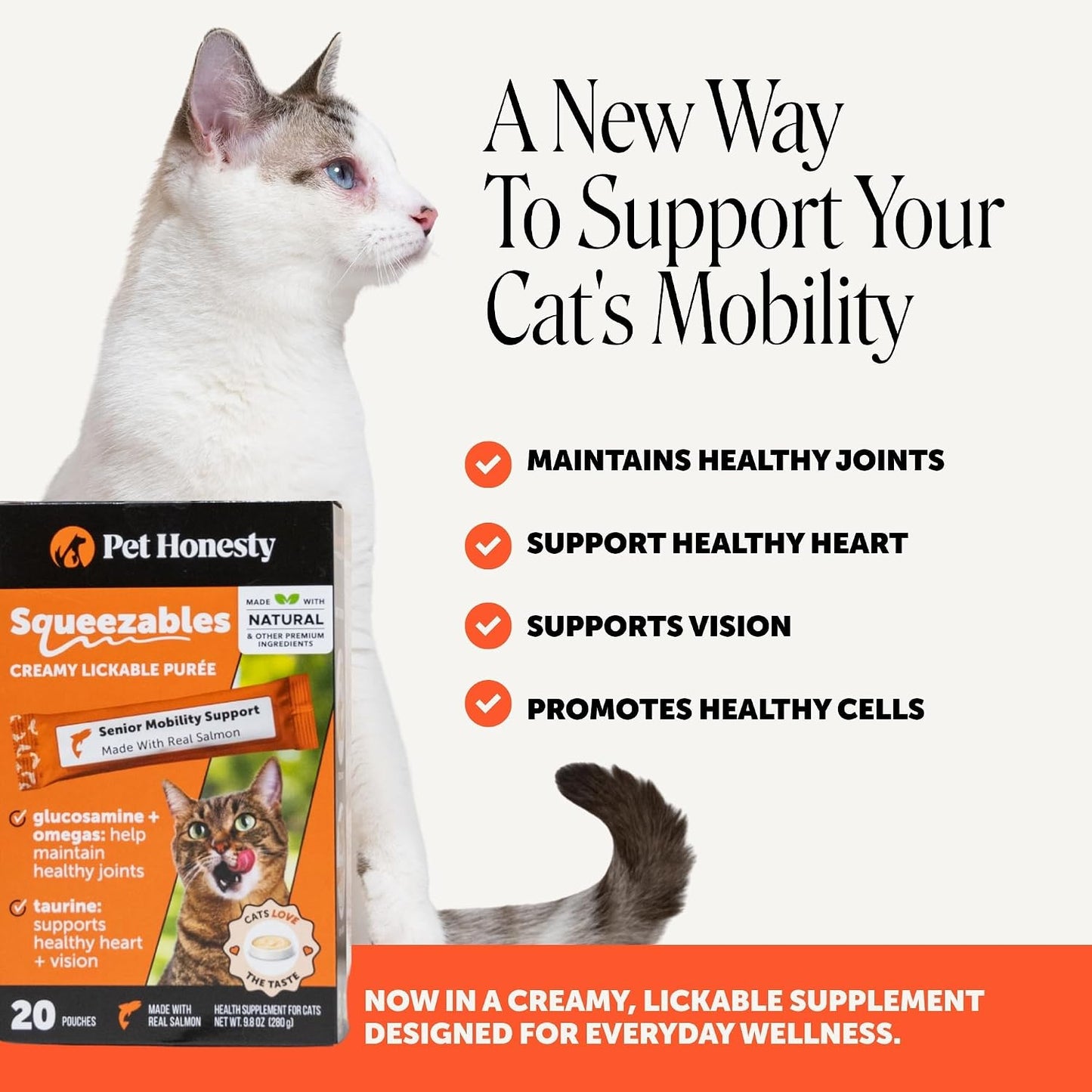 Cat Joint Support Puree