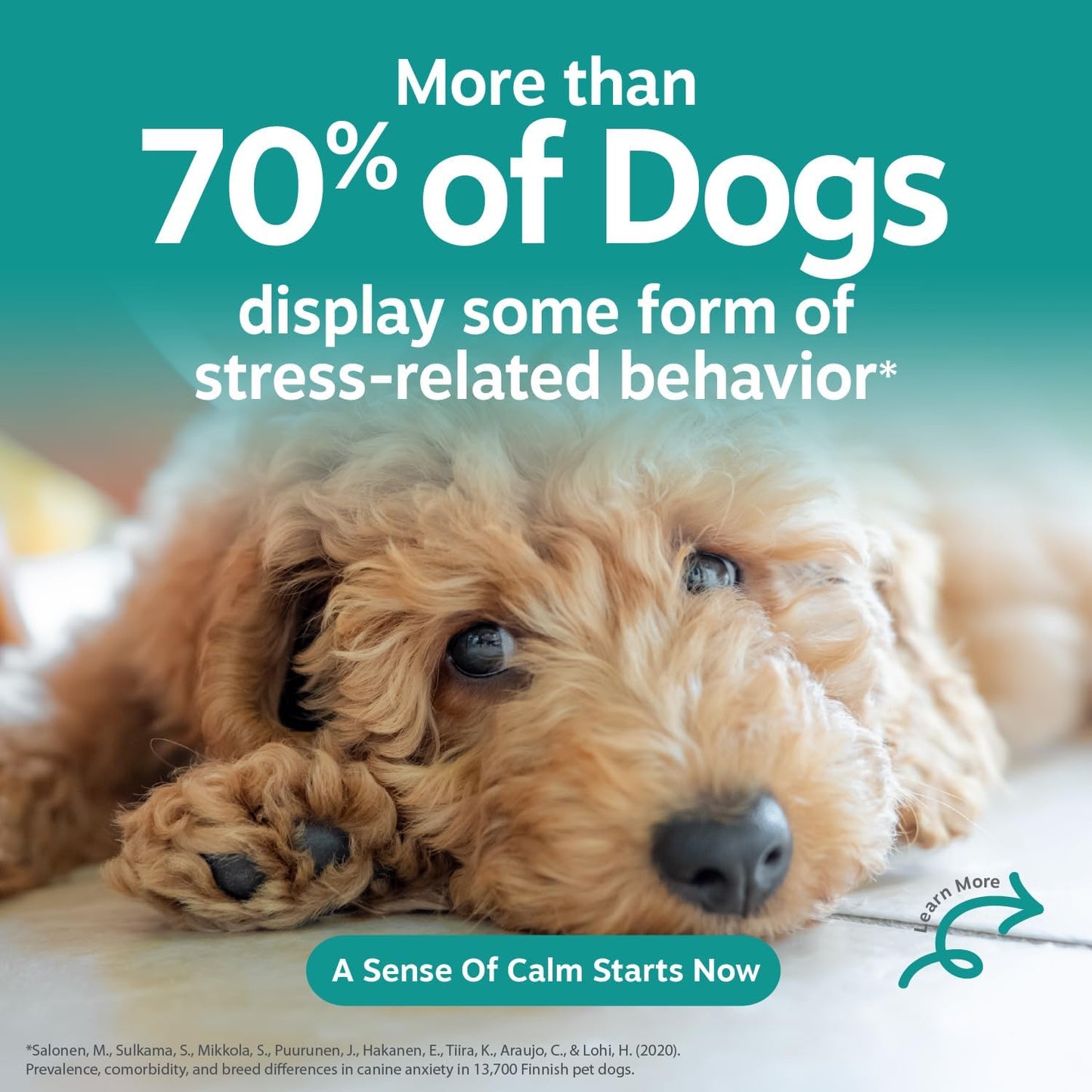 Dog Calming Chews