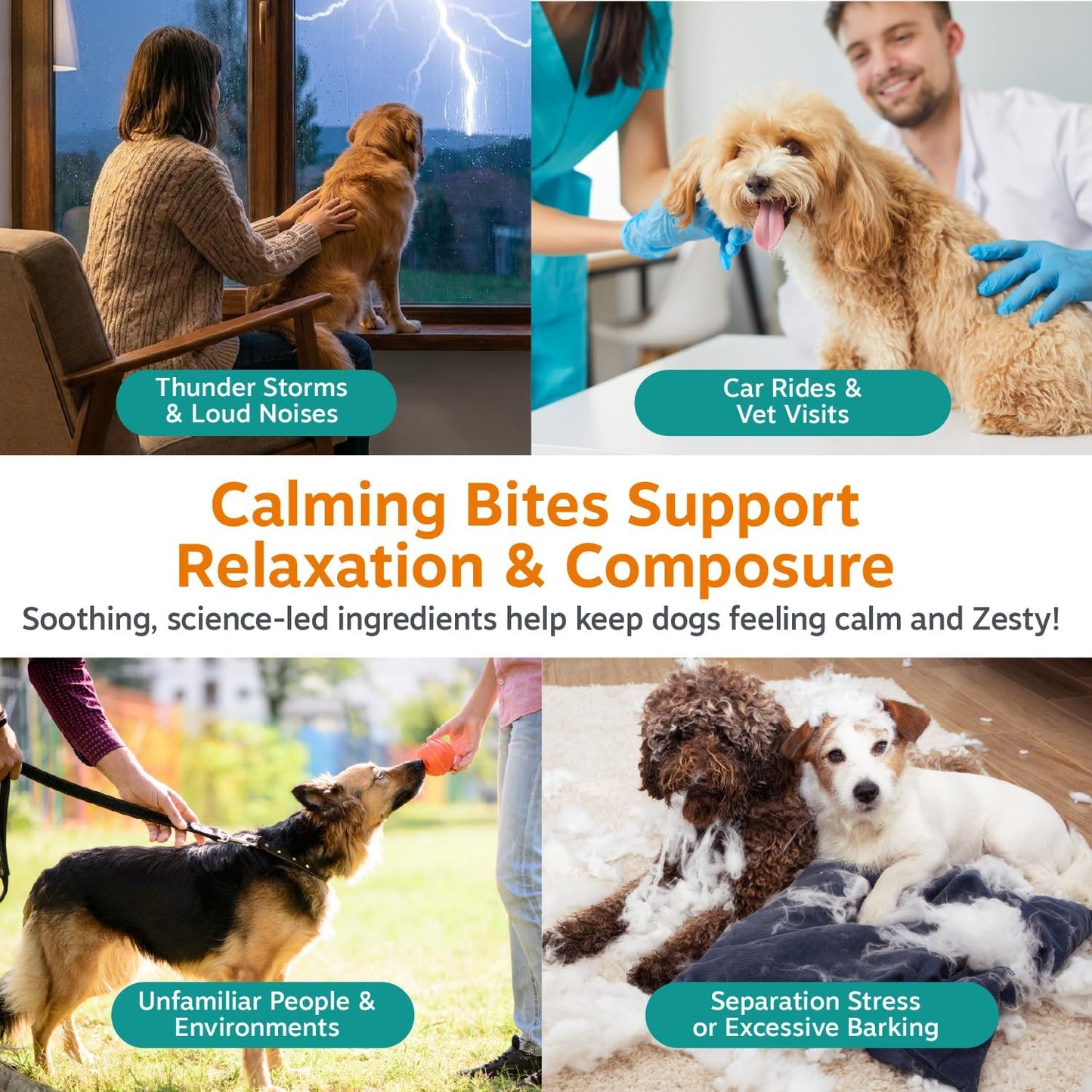 Dog Calming Chews